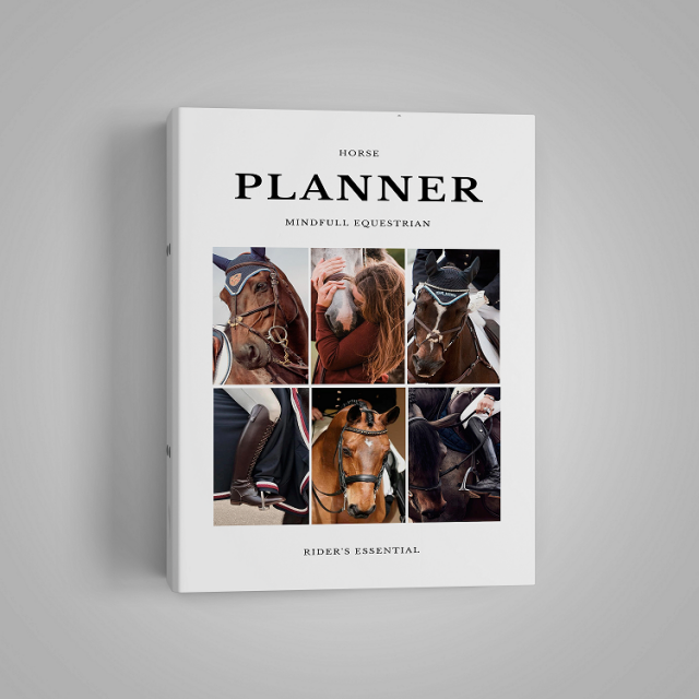 Ежедневник на кольцах Planner Transformer